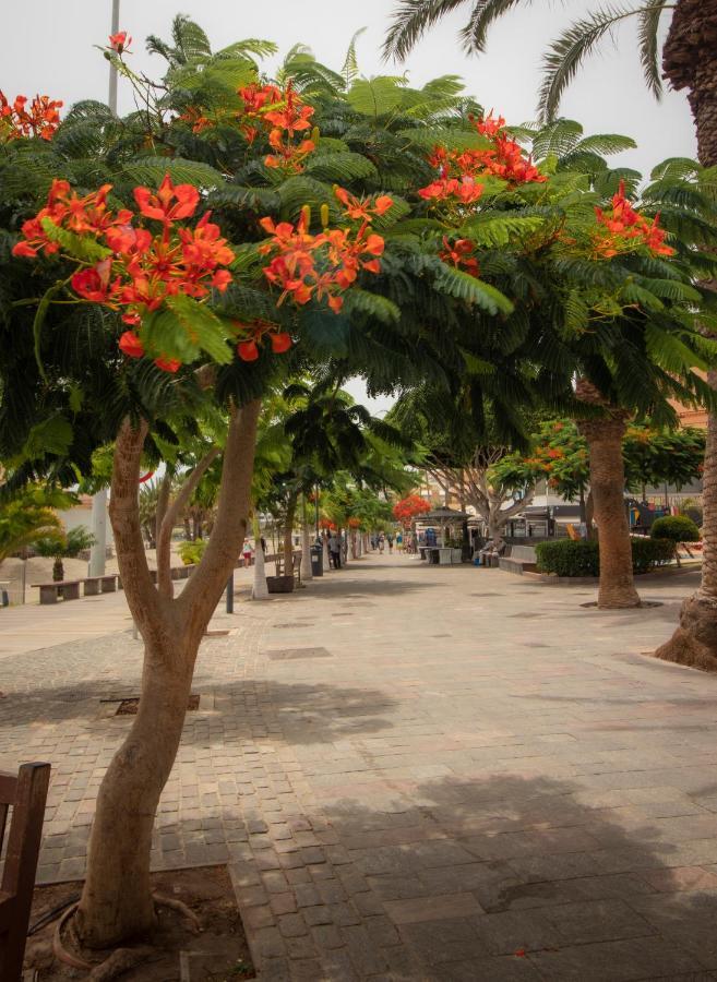 El Carmen Beach Apartment ลอส กริสเตียนอส ภายนอก รูปภาพ